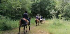 Turismo Equestre