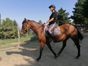 Scuola di equitazione